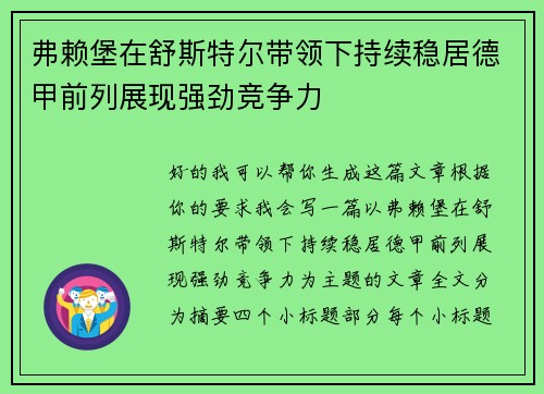 弗赖堡在舒斯特尔带领下持续稳居德甲前列展现强劲竞争力